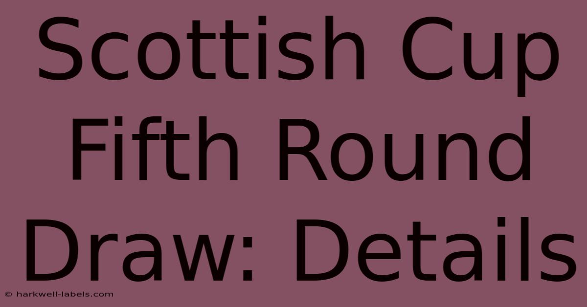 Scottish Cup Fifth Round Draw: Details