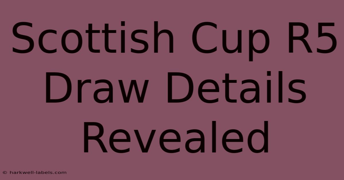 Scottish Cup R5 Draw Details Revealed