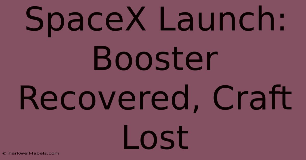 SpaceX Launch: Booster Recovered, Craft Lost