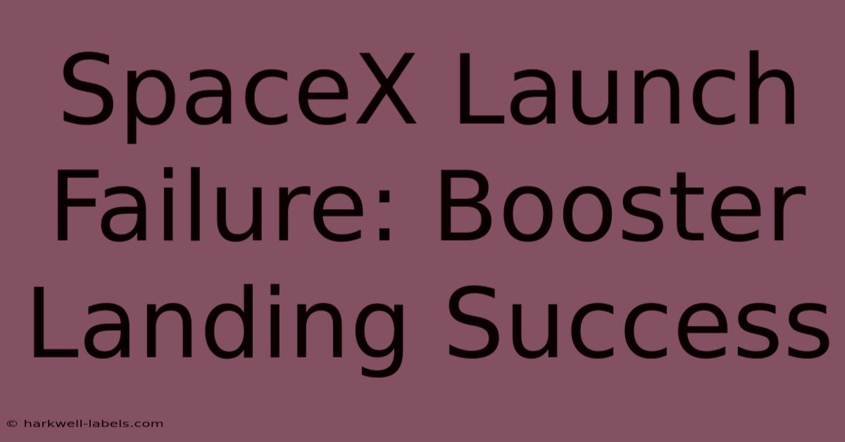 SpaceX Launch Failure: Booster Landing Success