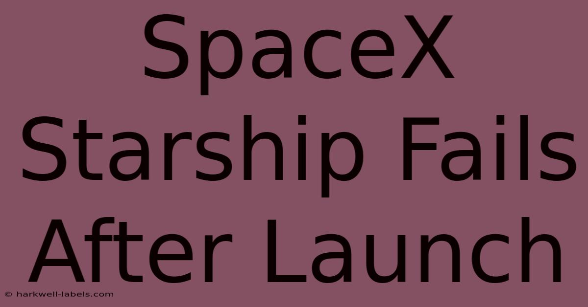 SpaceX Starship Fails After Launch