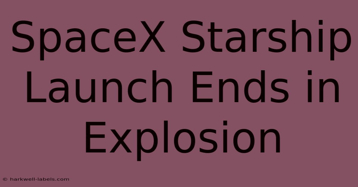 SpaceX Starship Launch Ends In Explosion