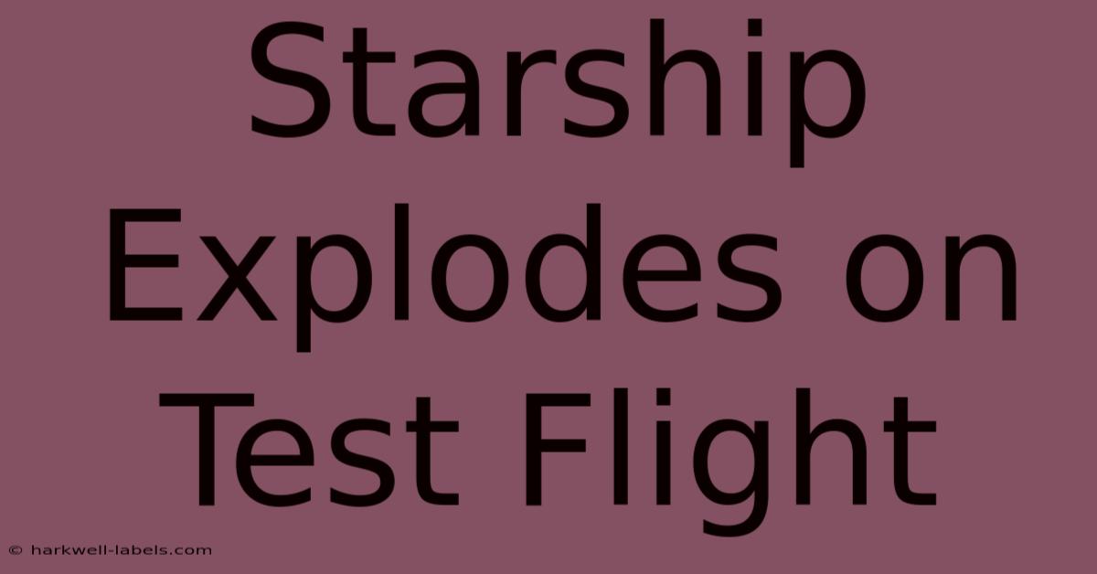 Starship Explodes On Test Flight