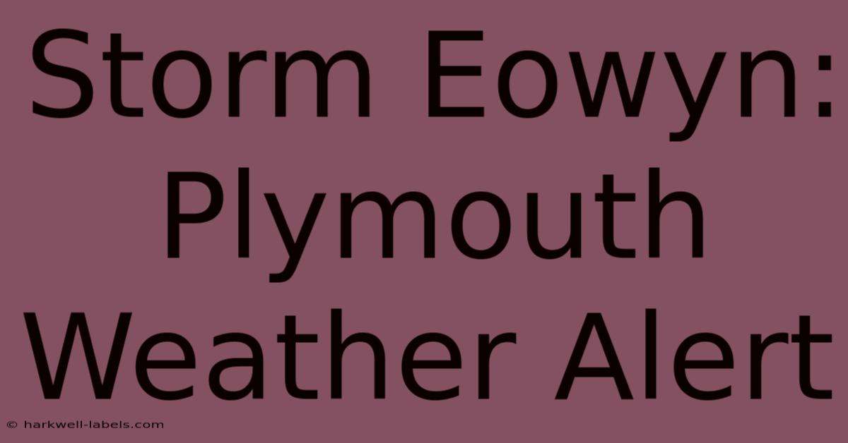 Storm Eowyn: Plymouth Weather Alert