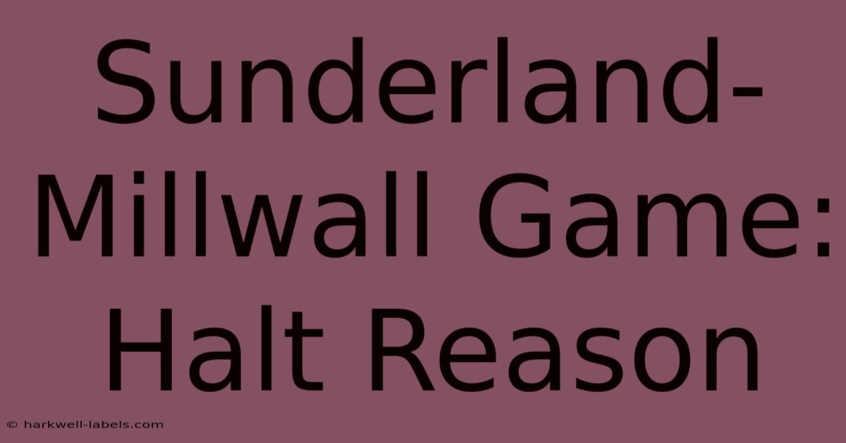 Sunderland-Millwall Game: Halt Reason