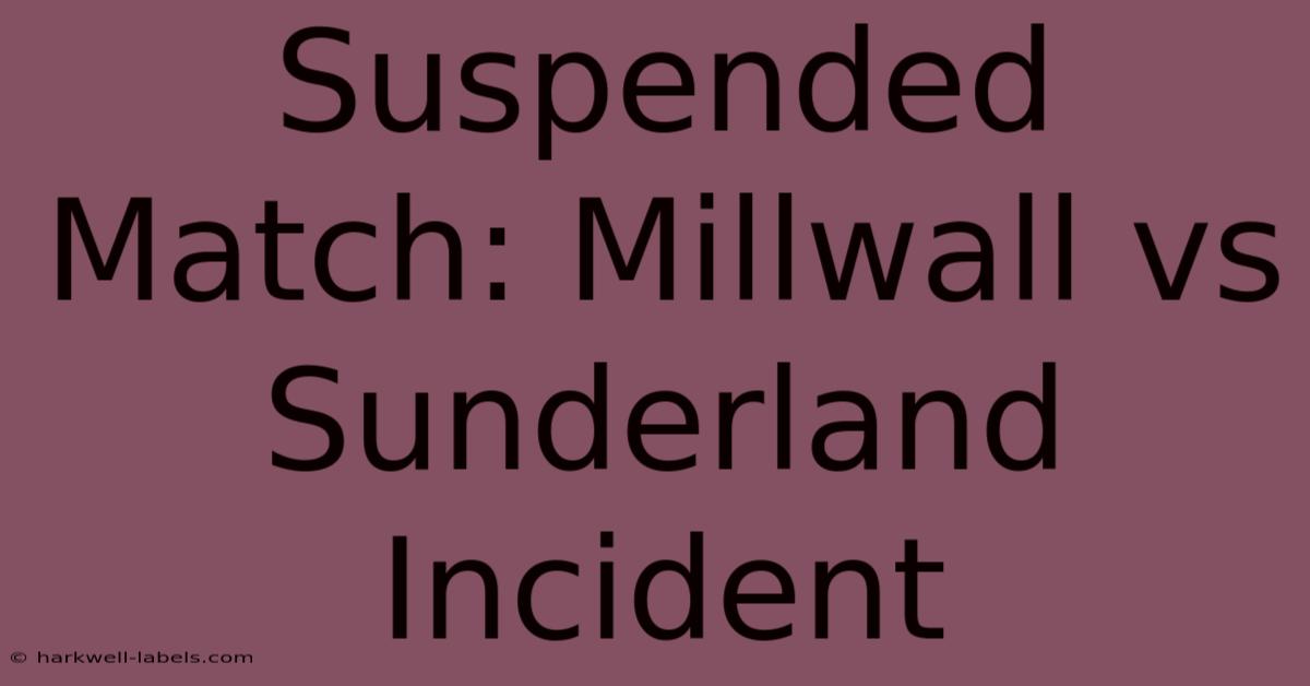 Suspended Match: Millwall Vs Sunderland Incident