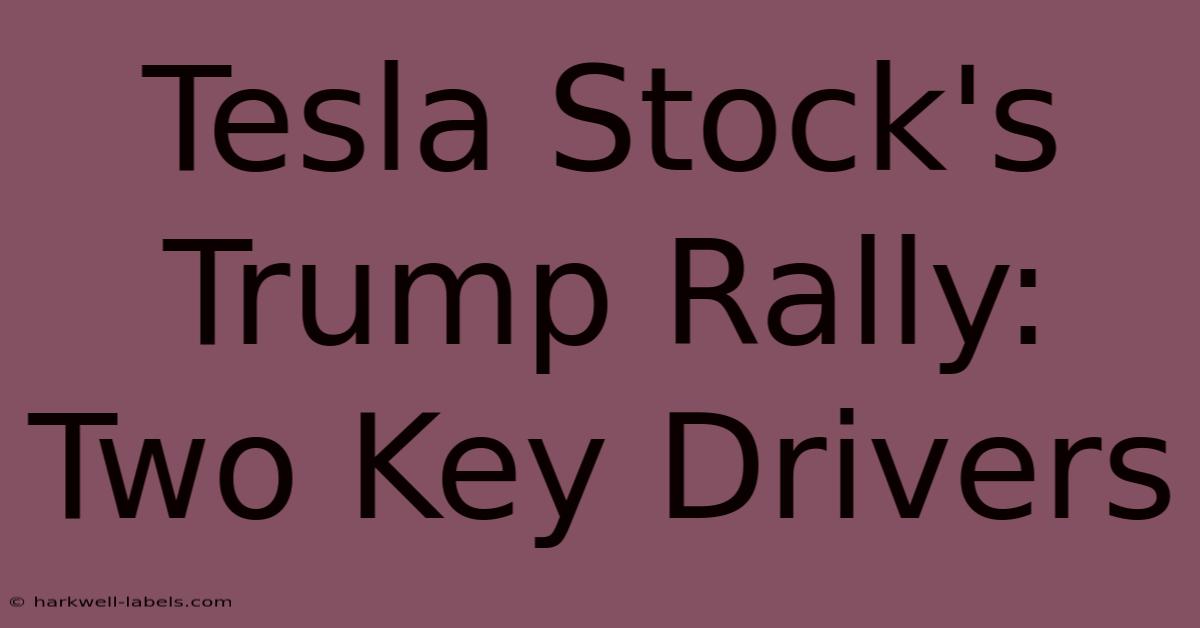 Tesla Stock's Trump Rally: Two Key Drivers