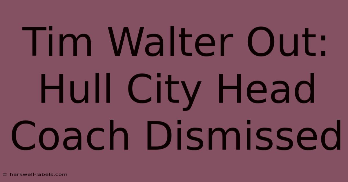 Tim Walter Out: Hull City Head Coach Dismissed