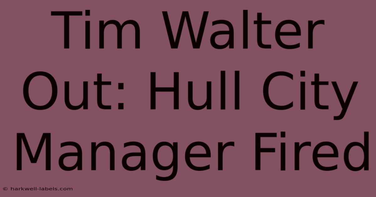 Tim Walter Out: Hull City Manager Fired