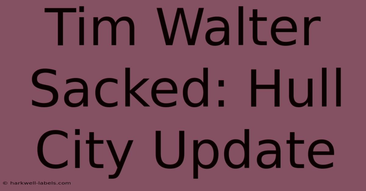 Tim Walter Sacked: Hull City Update