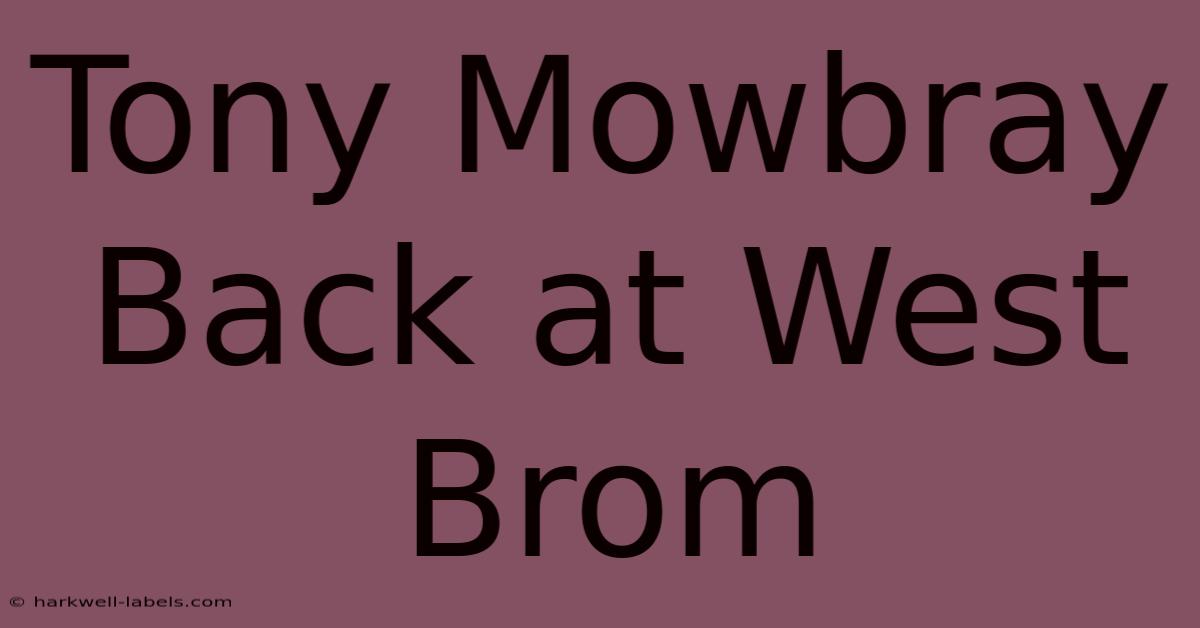 Tony Mowbray Back At West Brom