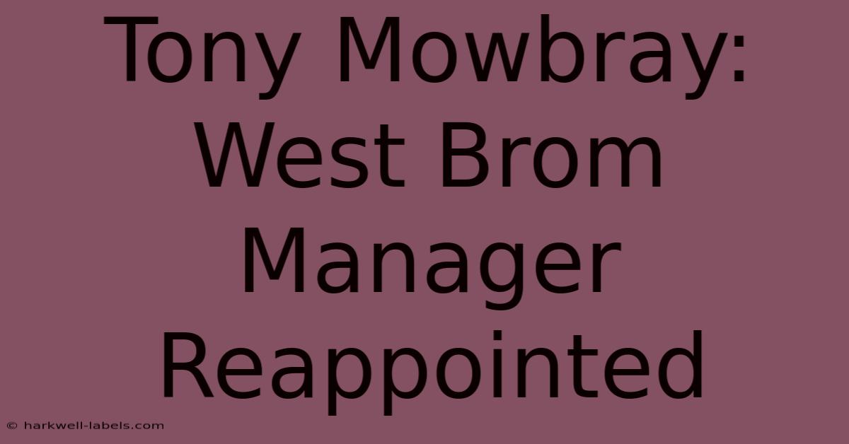 Tony Mowbray: West Brom Manager Reappointed