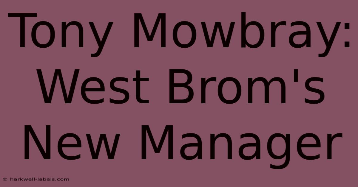 Tony Mowbray: West Brom's New Manager