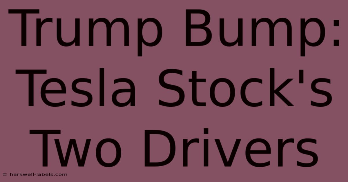 Trump Bump: Tesla Stock's Two Drivers