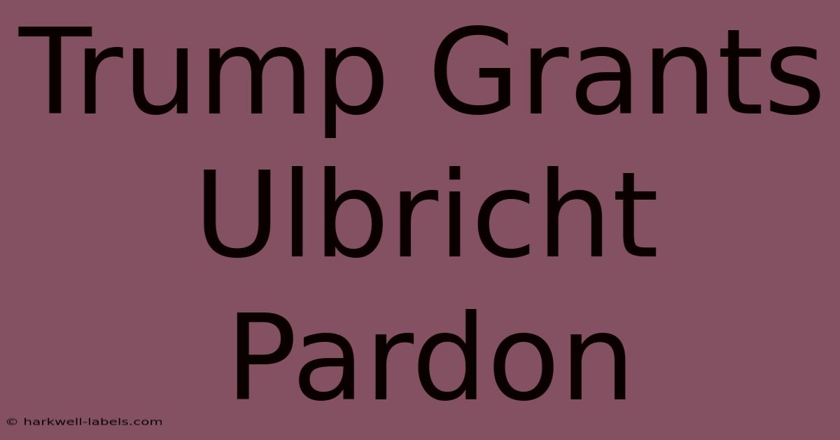 Trump Grants Ulbricht Pardon