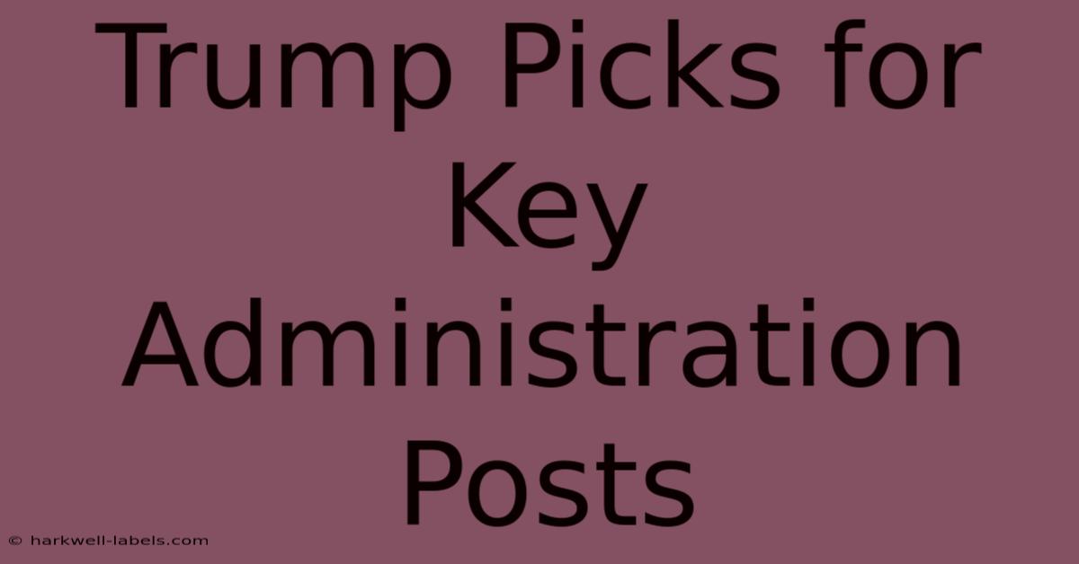 Trump Picks For Key Administration Posts