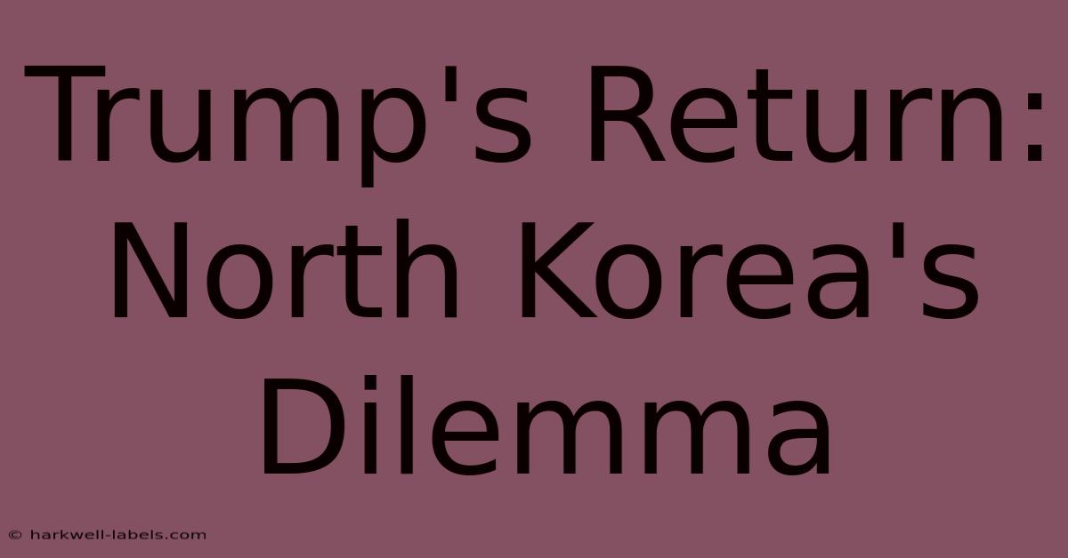 Trump's Return: North Korea's Dilemma