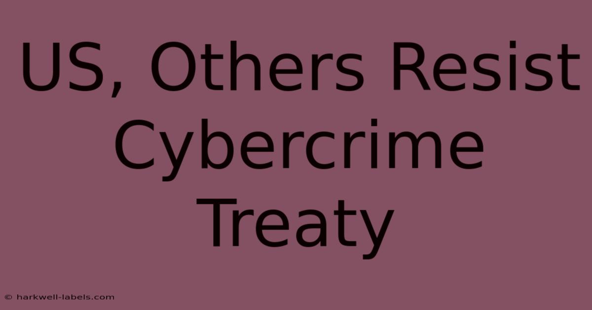 US, Others Resist Cybercrime Treaty