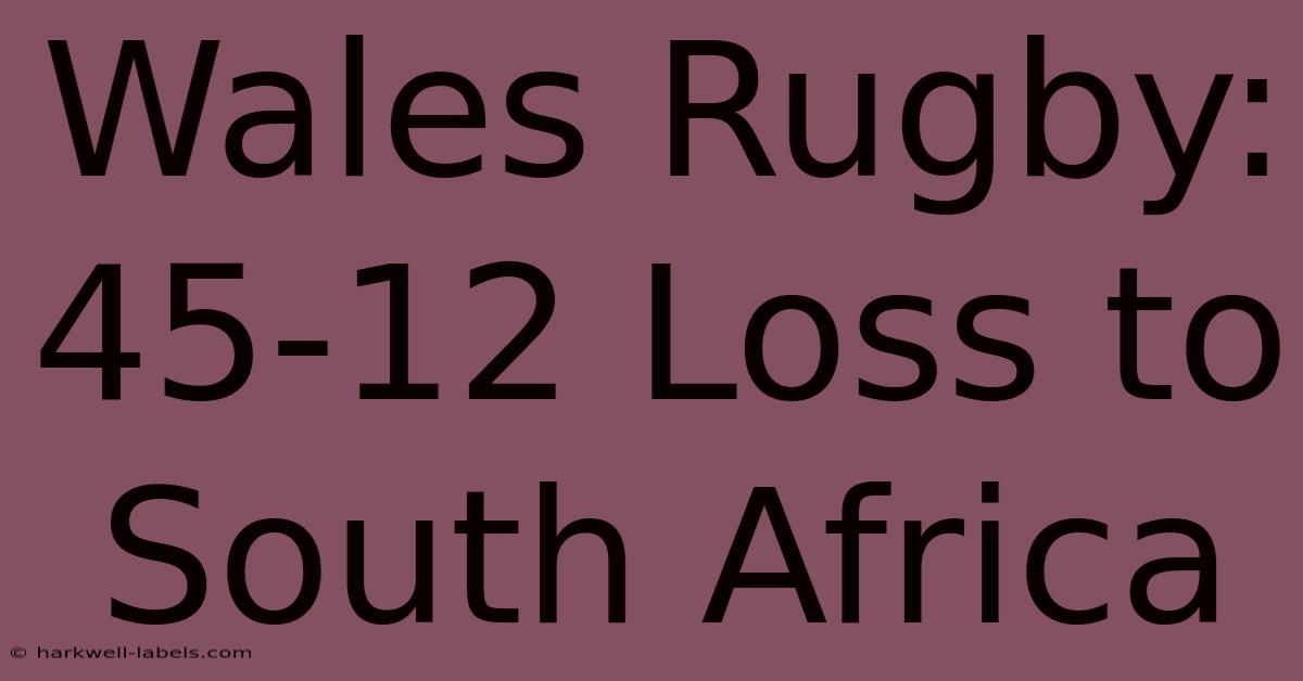 Wales Rugby: 45-12 Loss To South Africa