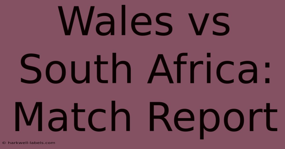 Wales Vs South Africa: Match Report