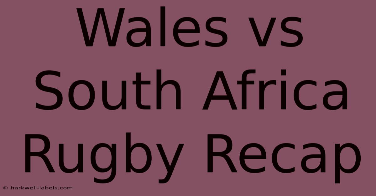 Wales Vs South Africa Rugby Recap