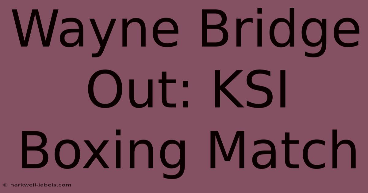 Wayne Bridge Out: KSI Boxing Match