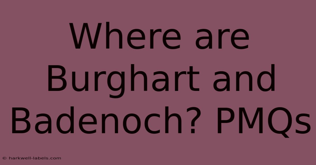 Where Are Burghart And Badenoch? PMQs