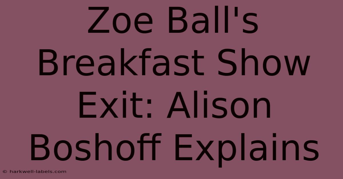 Zoe Ball's Breakfast Show Exit: Alison Boshoff Explains